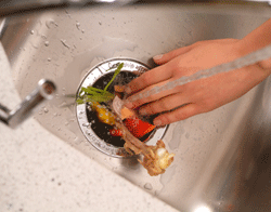 Guide to Effective Garbage Disposal Device Maintenance